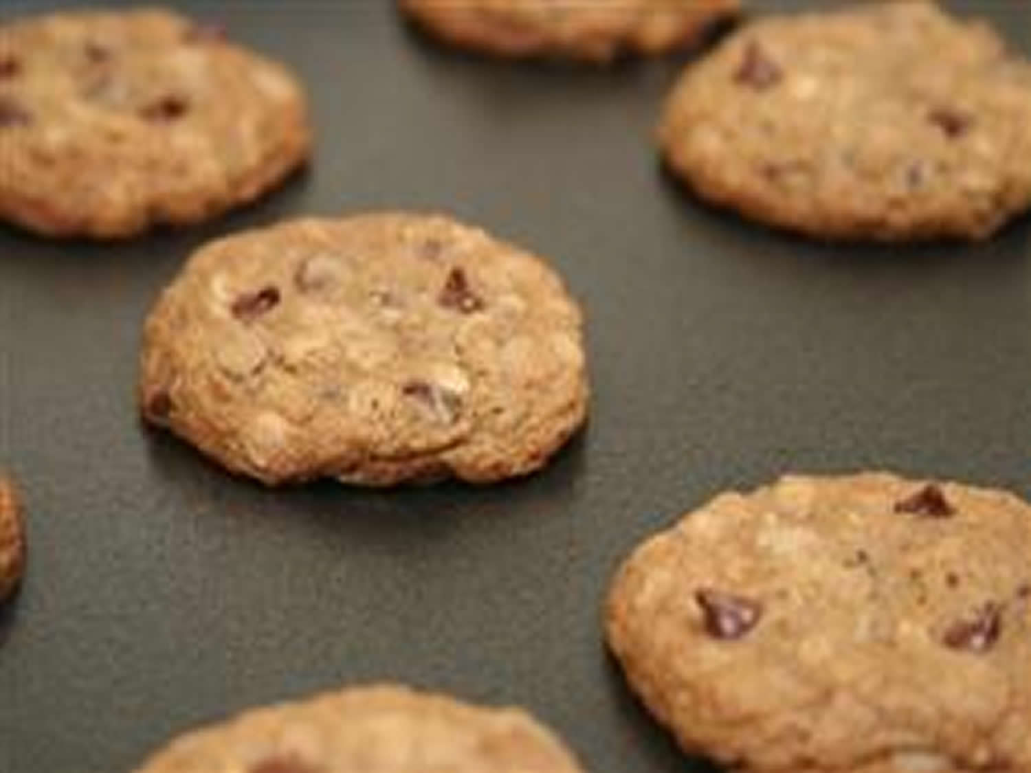 Chocolate Chip Muesli Cookies | Bob&amp;#39;s Red Mill&amp;#39;s Recipe Box