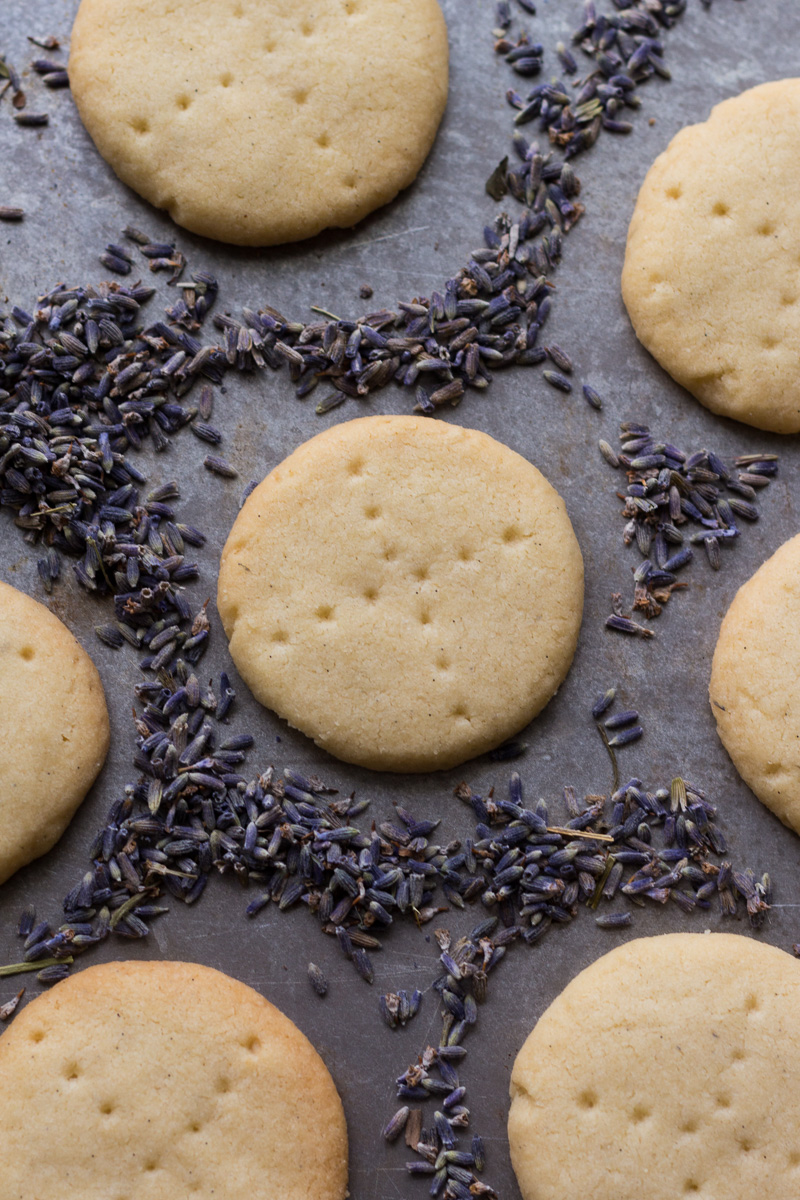 Vanilla Lavender Shortbread Cookies | Bob's Red Mill's Recipe Box